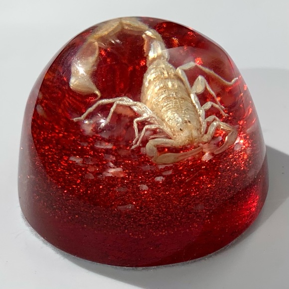 Scorpion Paperweight Acrylic Resin Dome Red Base with Glitter Felt Bottom - Picture 6 of 14
